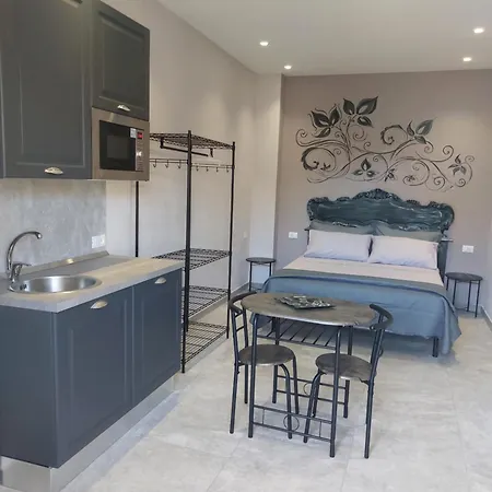 公寓 Fede's Airport *